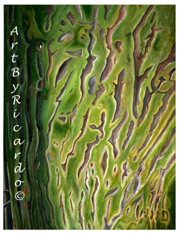 Tree Bark  